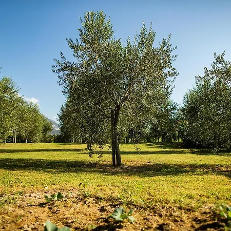 Agriturismo Casa Di Campagna-2
